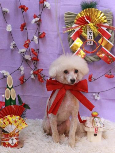 20230124てぃにぃちゃん